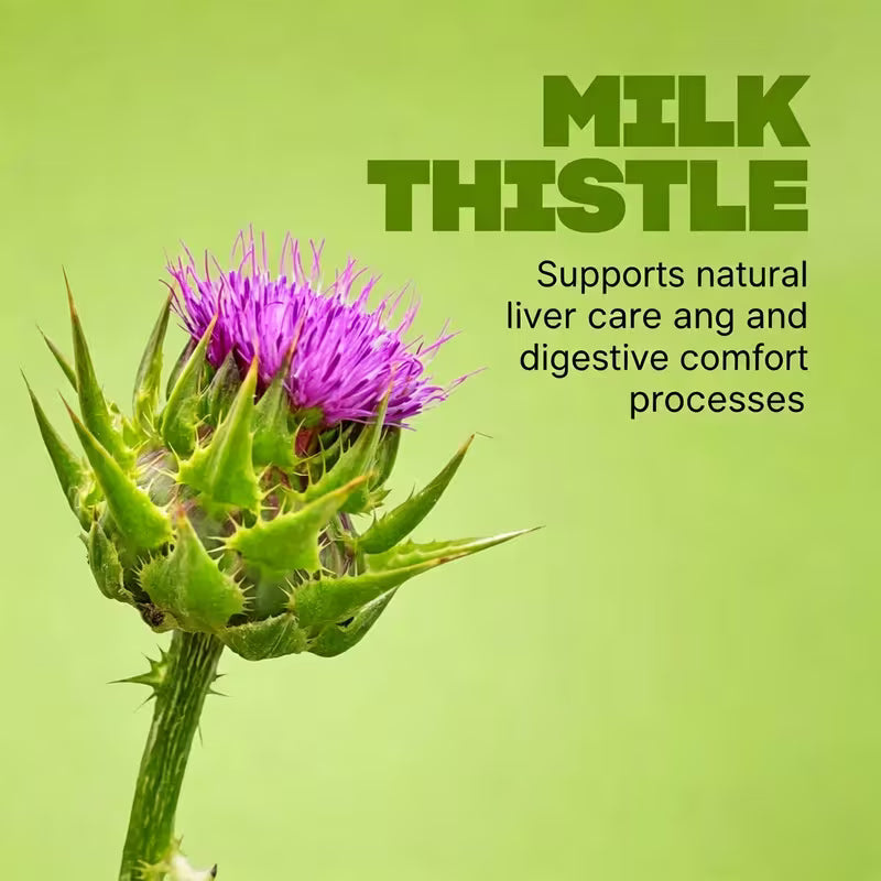 USLSHA Milk Thistle & CoQ10 Liver Support Supplement – 60 Capsules