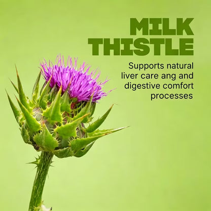 USLSHA Milk Thistle & CoQ10 Liver Support Supplement – 60 Capsules