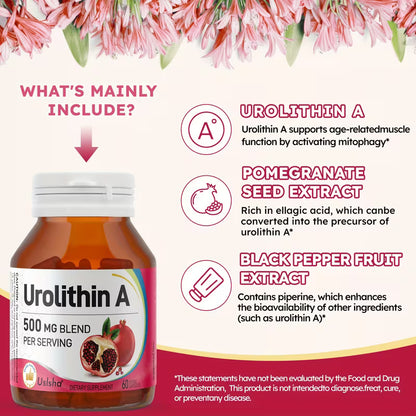 USLSHA Urolithin A Supplement for Healthy Aging & Mitochondrial Support
