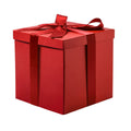 + 1 FREE GIFT