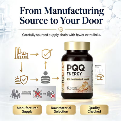VORDLIFE PQQ Energy Supplement with AKG & Spermidine – 60 Capsules