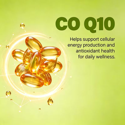 USLSHA Milk Thistle & CoQ10 Liver Support Supplement – 60 Capsules